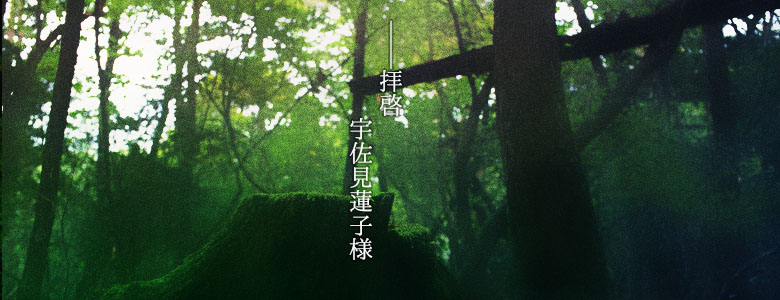 �莆�`See you in a dream�`